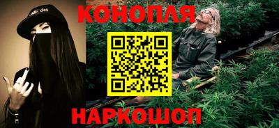 прущие грибы Будённовск