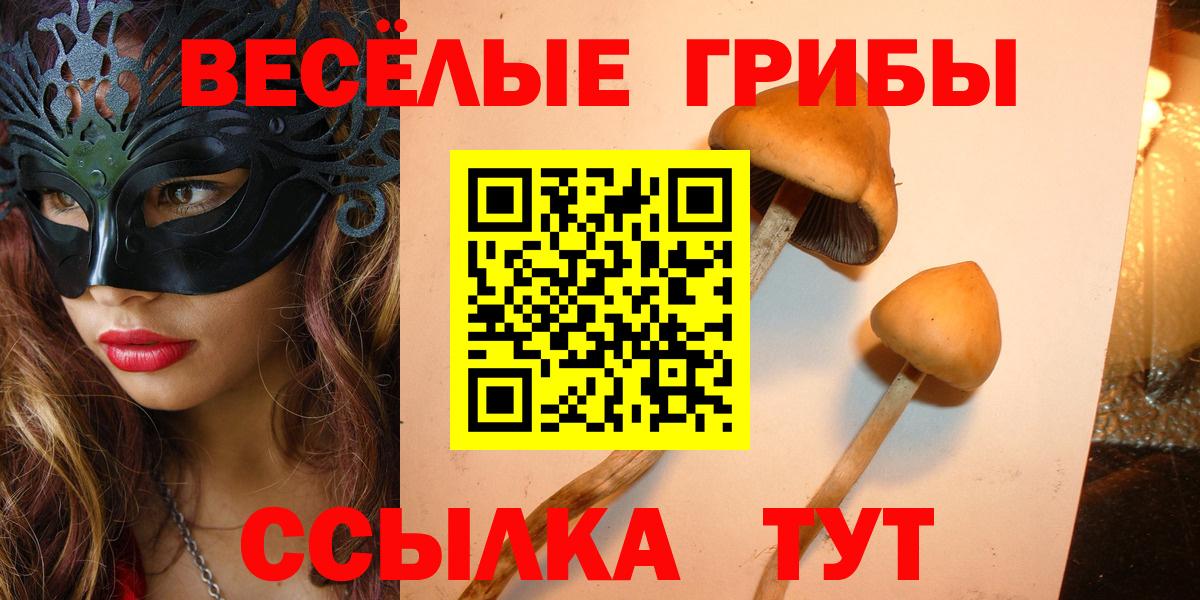 Нефтеюганск  Псилоцибиновые грибы MAGIC MUSHROOMS  Вход с VPN 